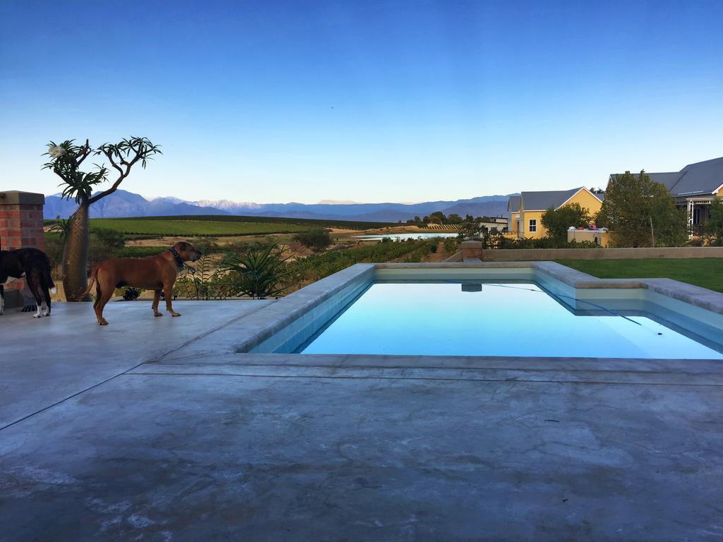 Vineyard Views Country House Рибик-Кастил Экстерьер фото