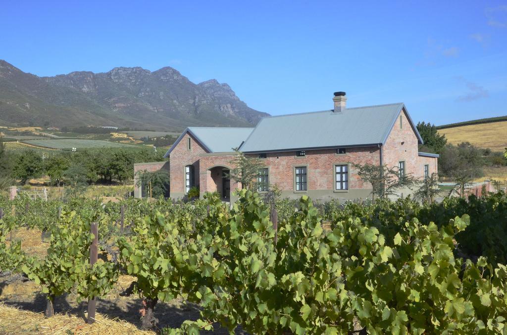 Vineyard Views Country House Рибик-Кастил Экстерьер фото